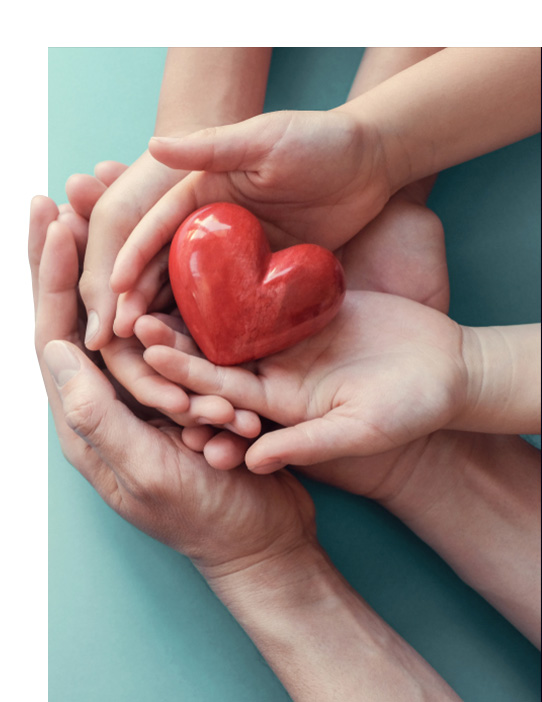 non-profit-and-charity non-profit-and-charity