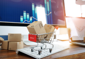 software-development-services software-development-services